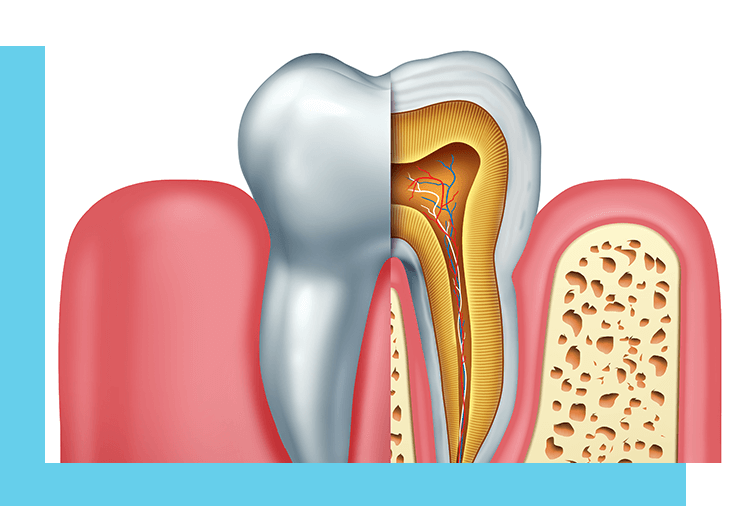 Root canal treatment near Madison WI